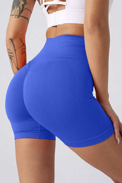 High Waist Wide Waistband Active Shorts